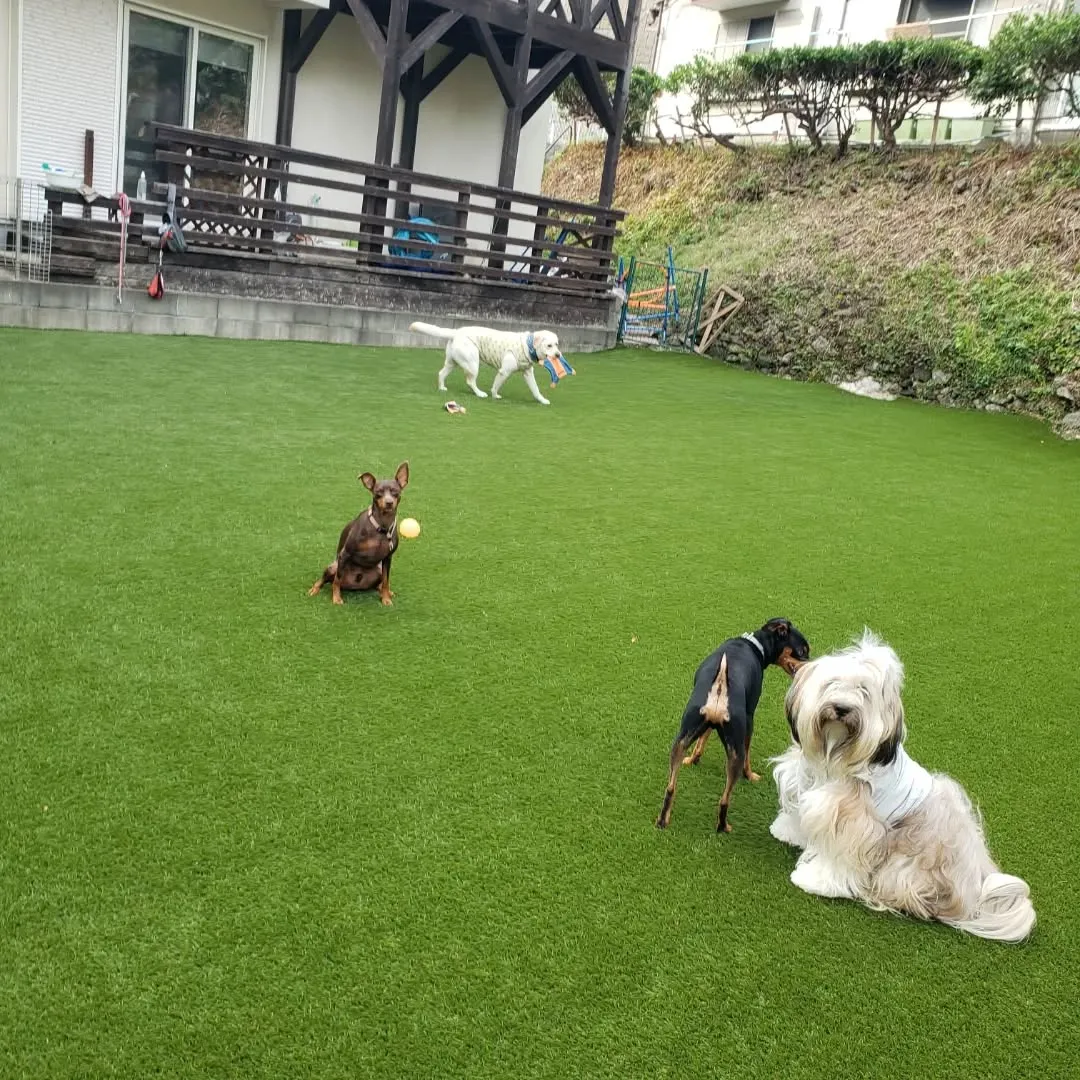 相変わらずロデイとケリイ君はワンプロしてるね😓