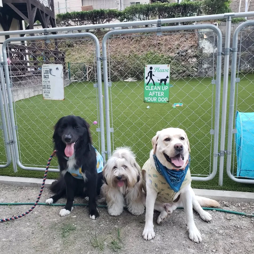 ホームステイにきてくれたグリ君♥️