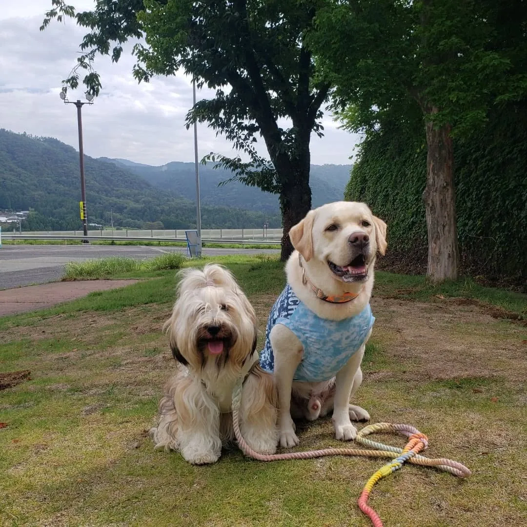 1泊2日の山梨旅行に行ってきました🎵