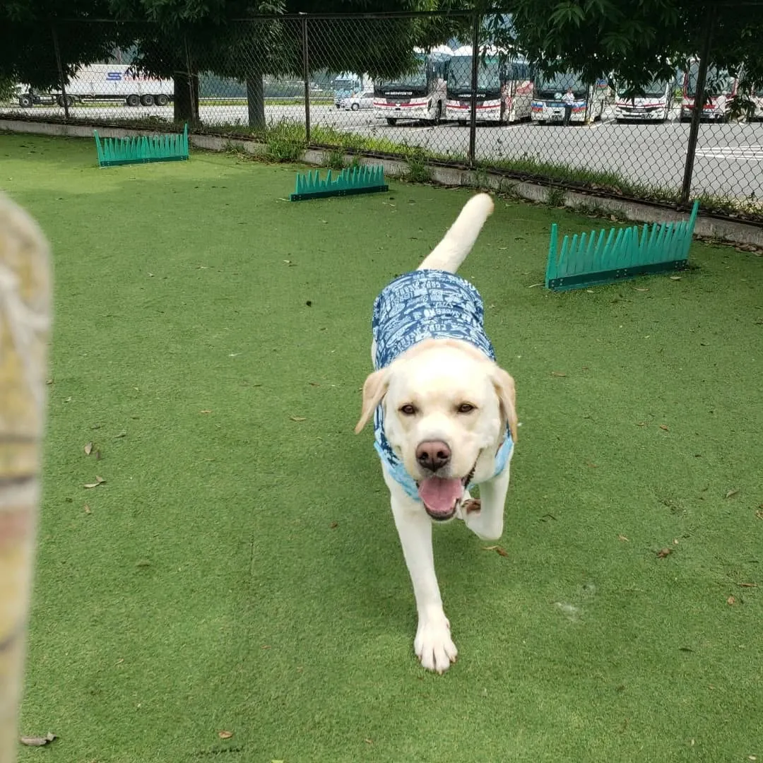 1泊2日の山梨旅行に行ってきました🎵