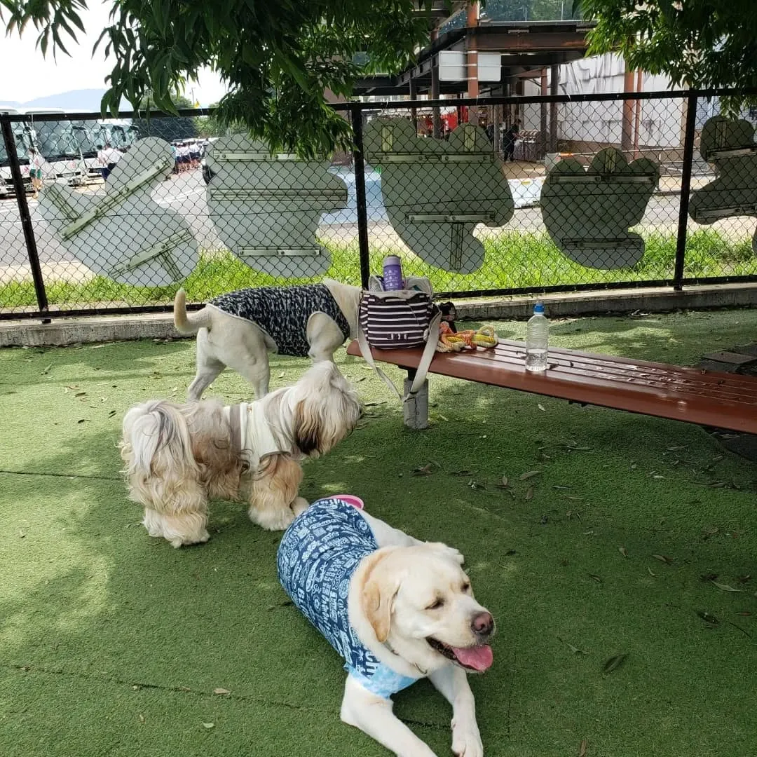 1泊2日の山梨旅行に行ってきました🎵