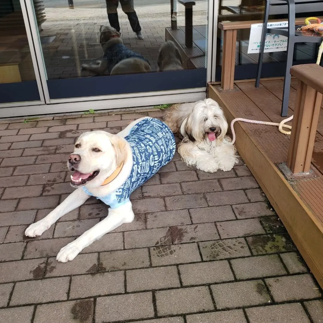 1泊2日の山梨旅行に行ってきました🎵