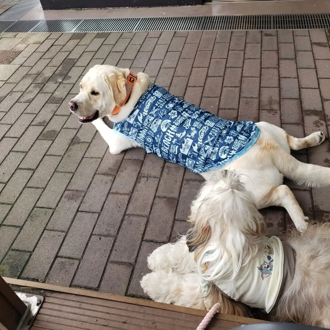 1泊2日の山梨旅行に行ってきました🎵