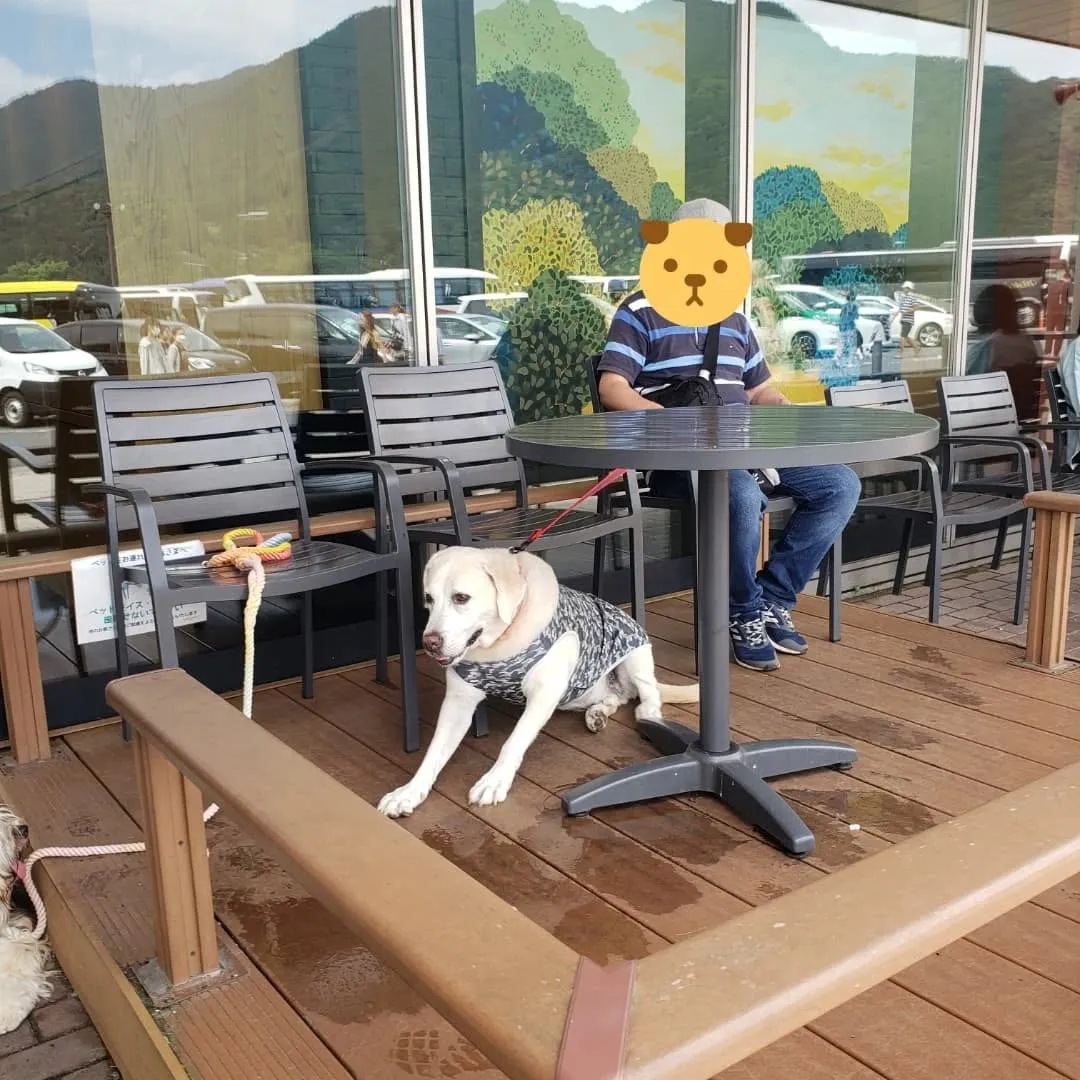 1泊2日の山梨旅行に行ってきました🎵