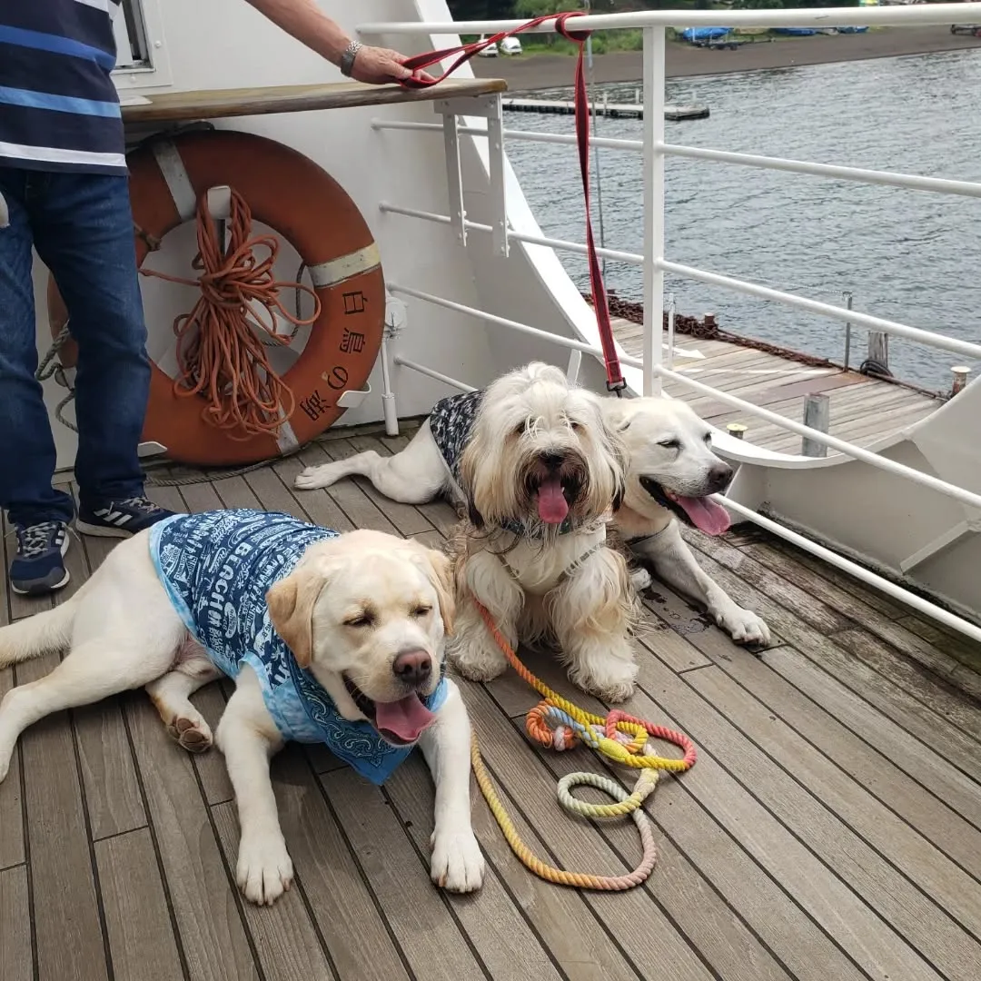 山中湖woofに到着して早速ランでひと遊び🎵