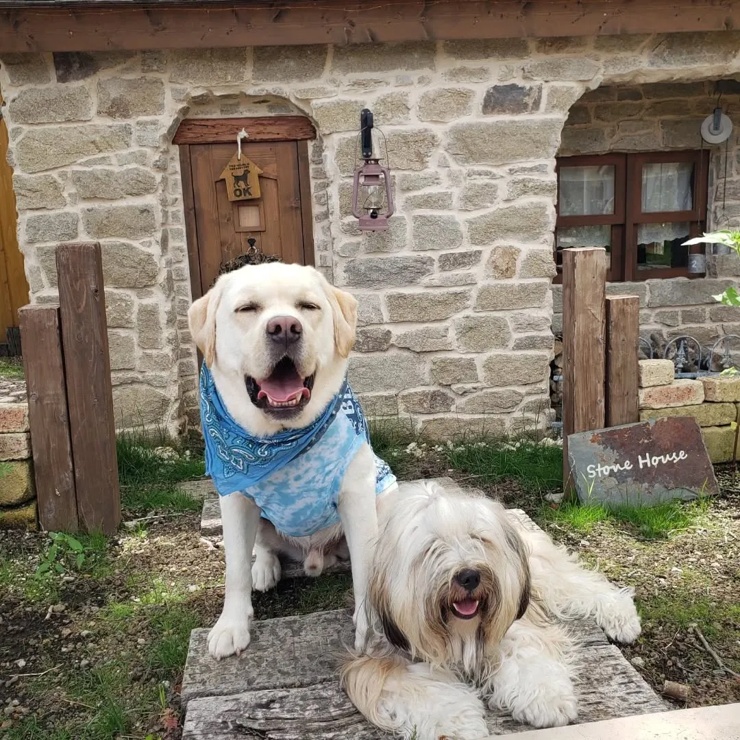 山中湖woofに到着して早速ランでひと遊び🎵