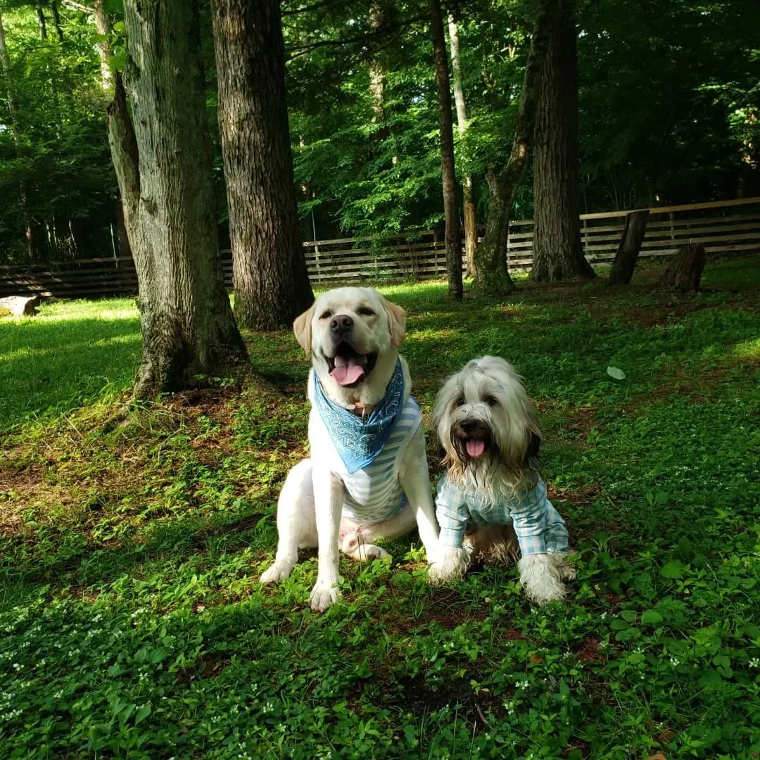 引き続き山中湖のwoofにて。