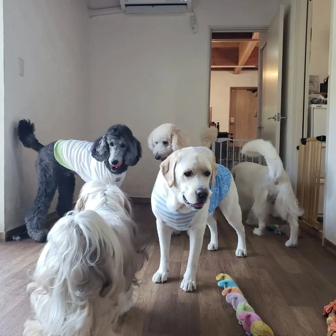 毎日暑い日が続いています。