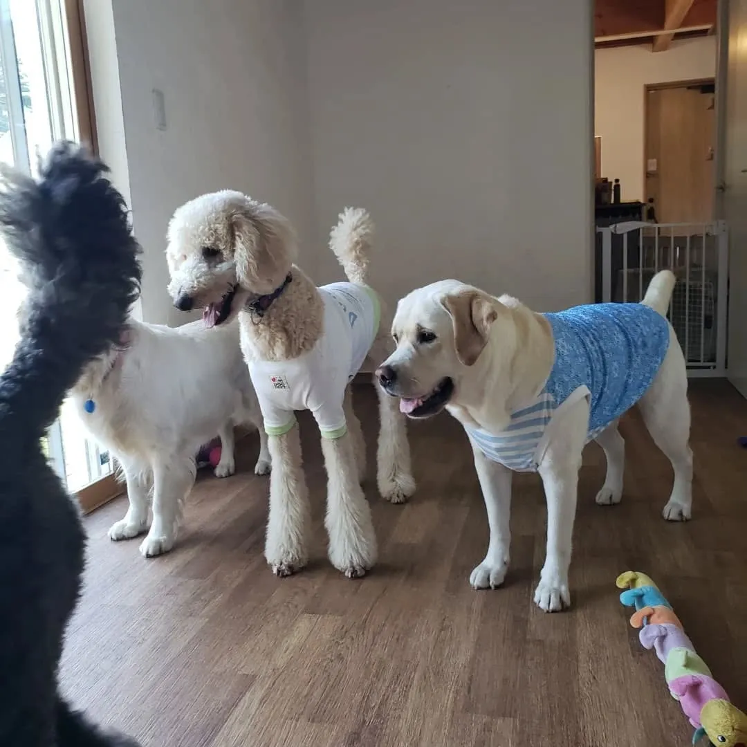 毎日暑い日が続いています。