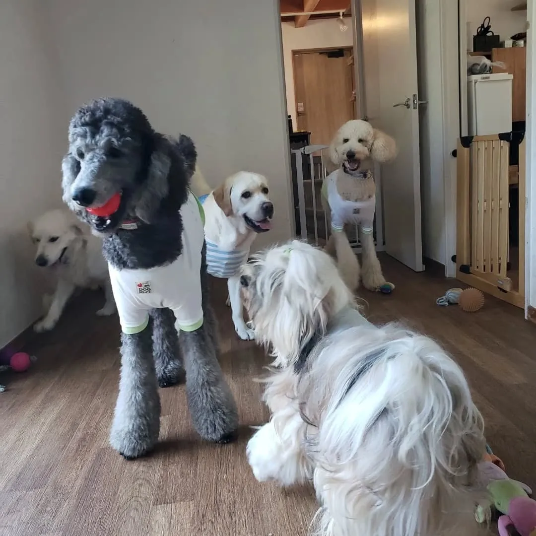 毎日暑い日が続いています。