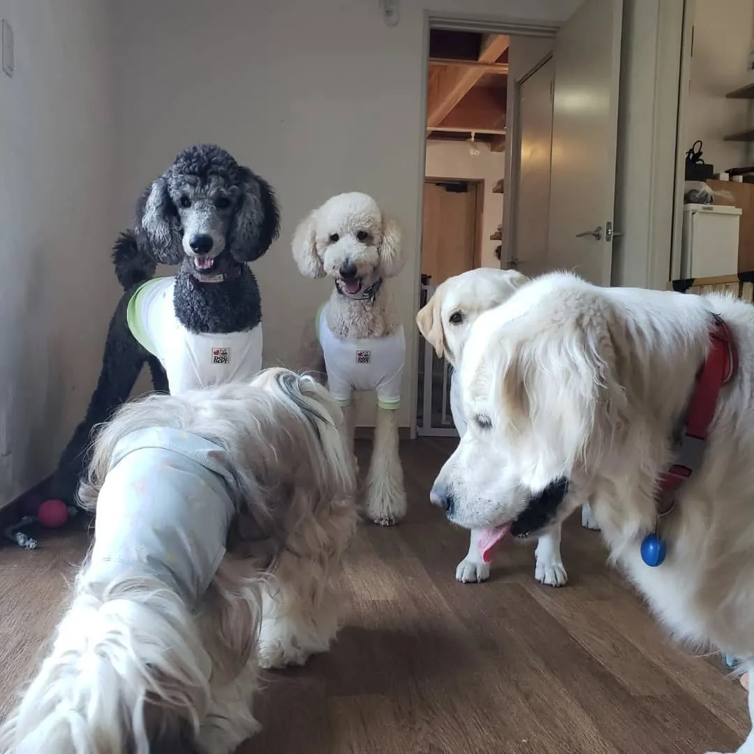 毎日暑い日が続いています。