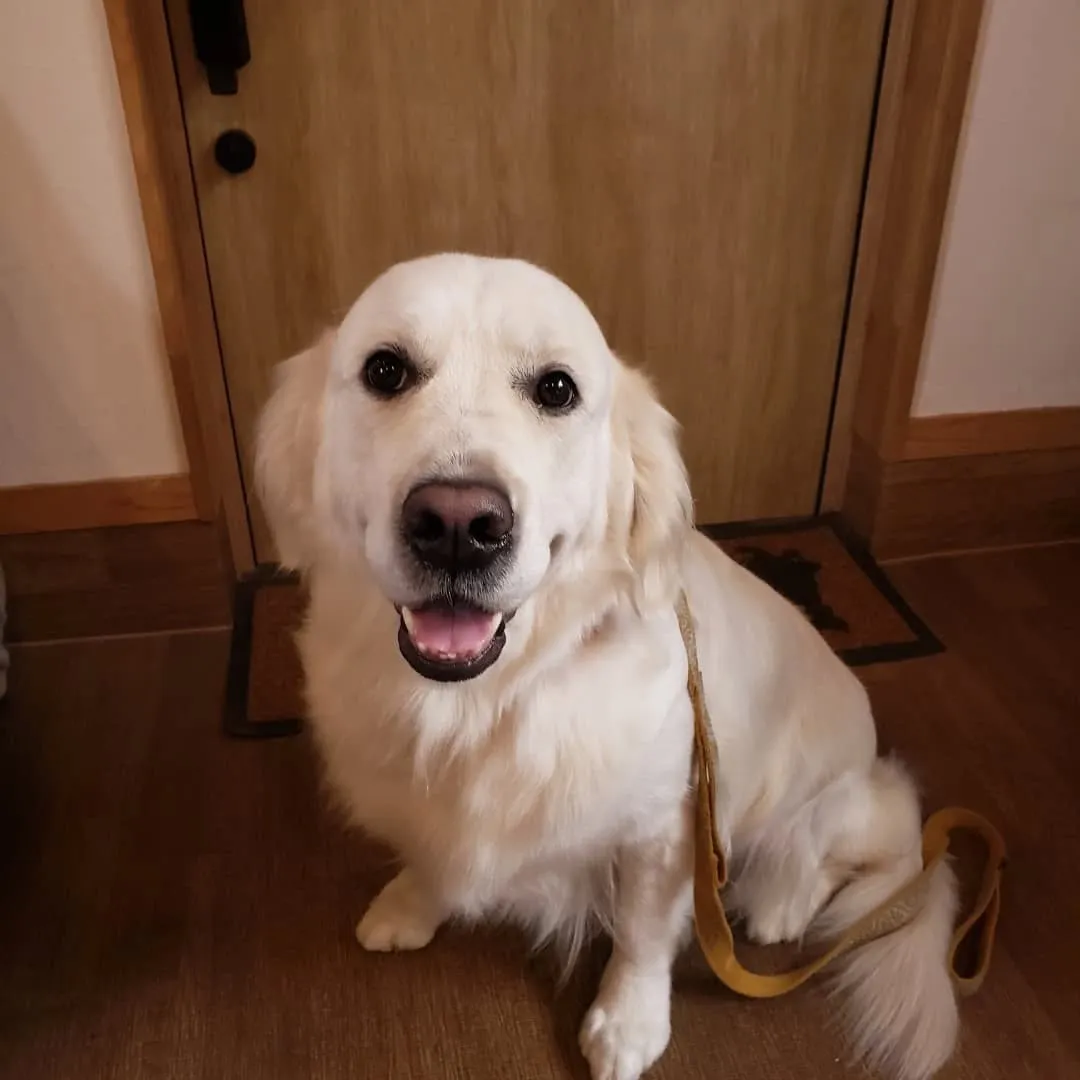 毎日暑い日が続いています。