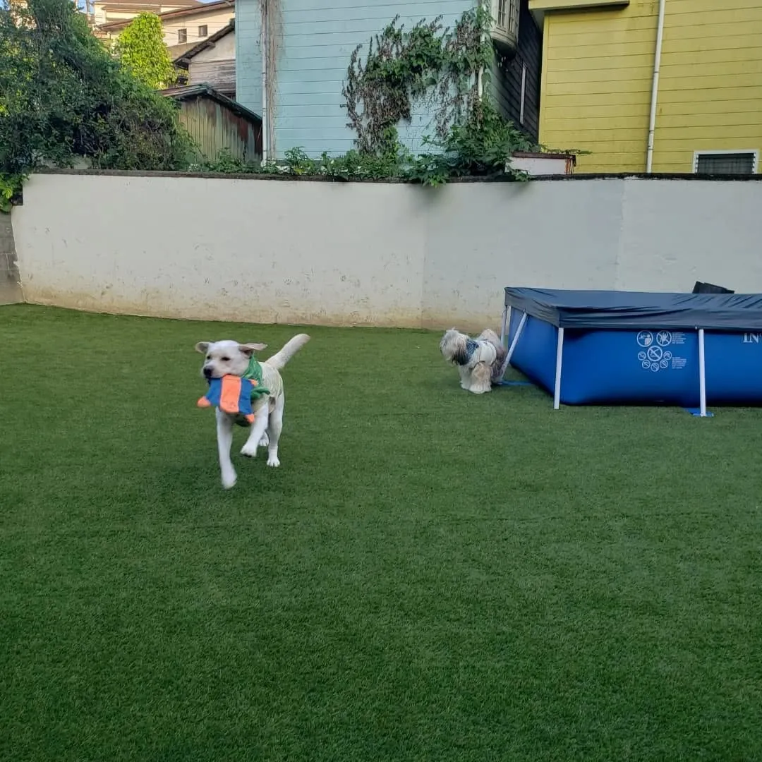 夕方になってもまだ暑い☀️😵💦
