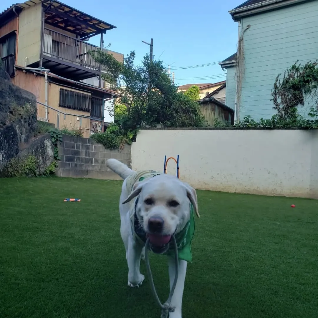 夕方になってもまだ暑い☀️😵💦
