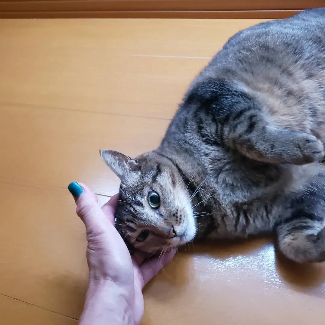 お世話に行ったアルト君♥️