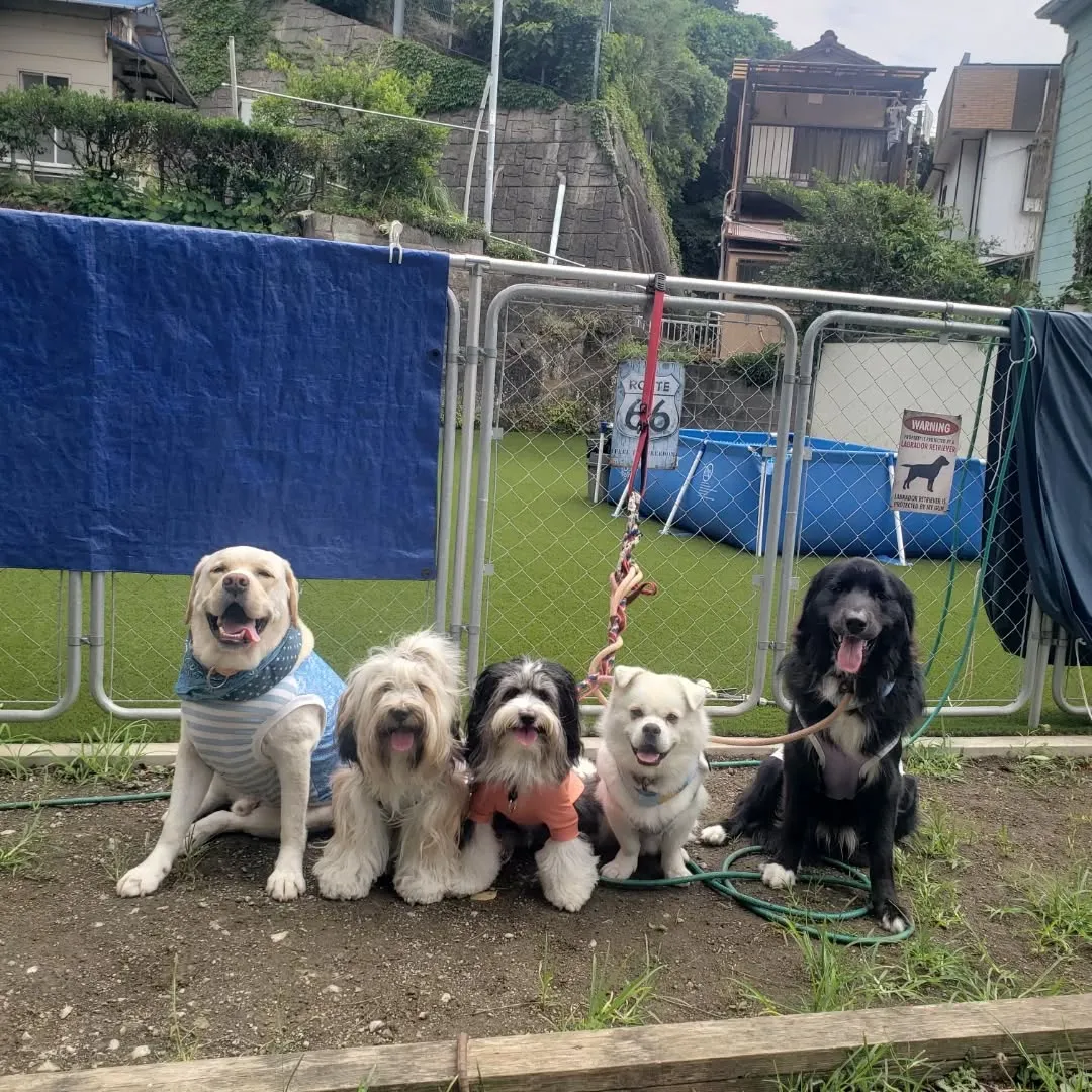 今年はほんとに暑いです😅