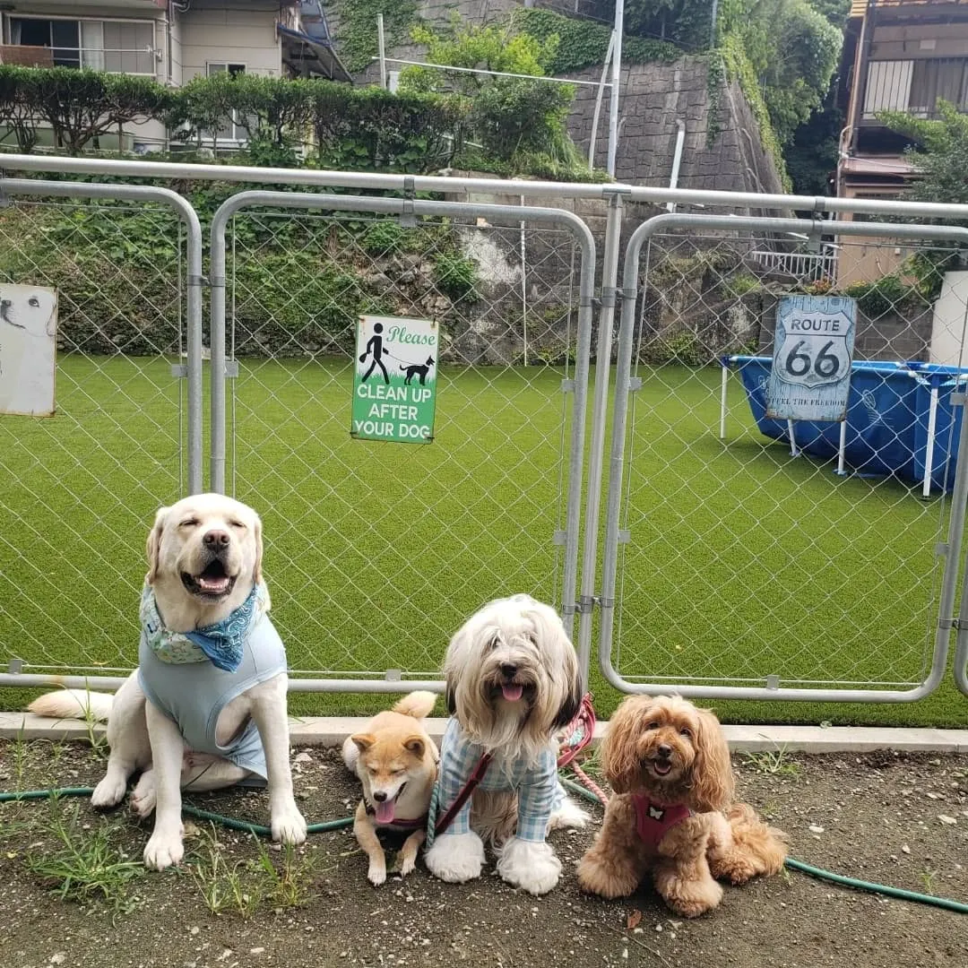 朝はいつもより少し涼しくなったのでランで遊びました🎵