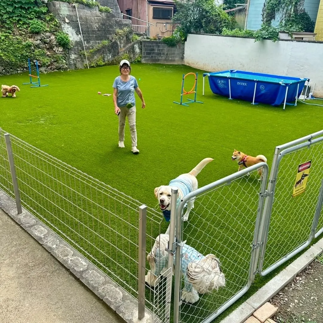 朝はいつもより少し涼しくなったのでランで遊びました🎵