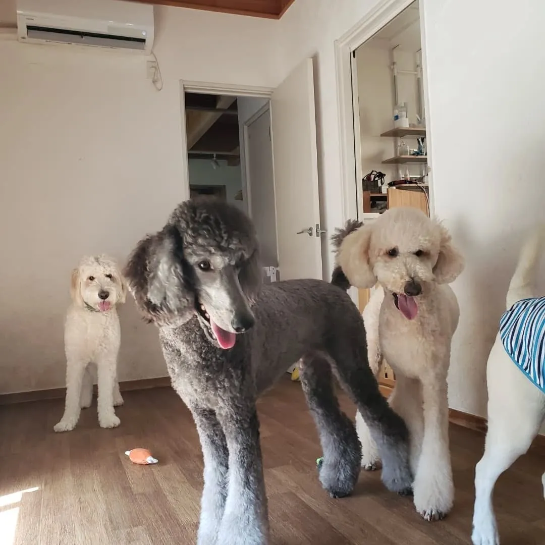 午前中はお部屋でおもちゃ遊び🎵