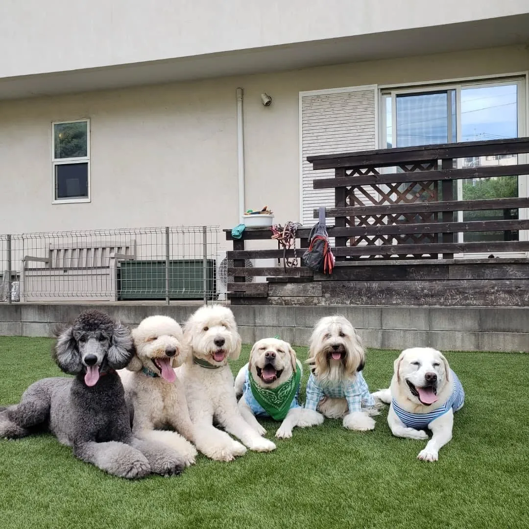 お部屋遊びだけでは物足りないわんぱく男子♥️