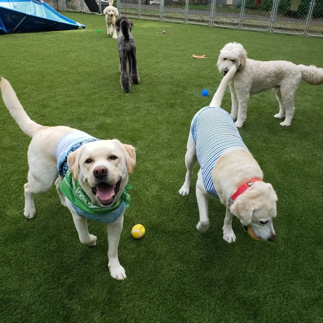 お部屋遊びだけでは物足りないわんぱく男子♥️