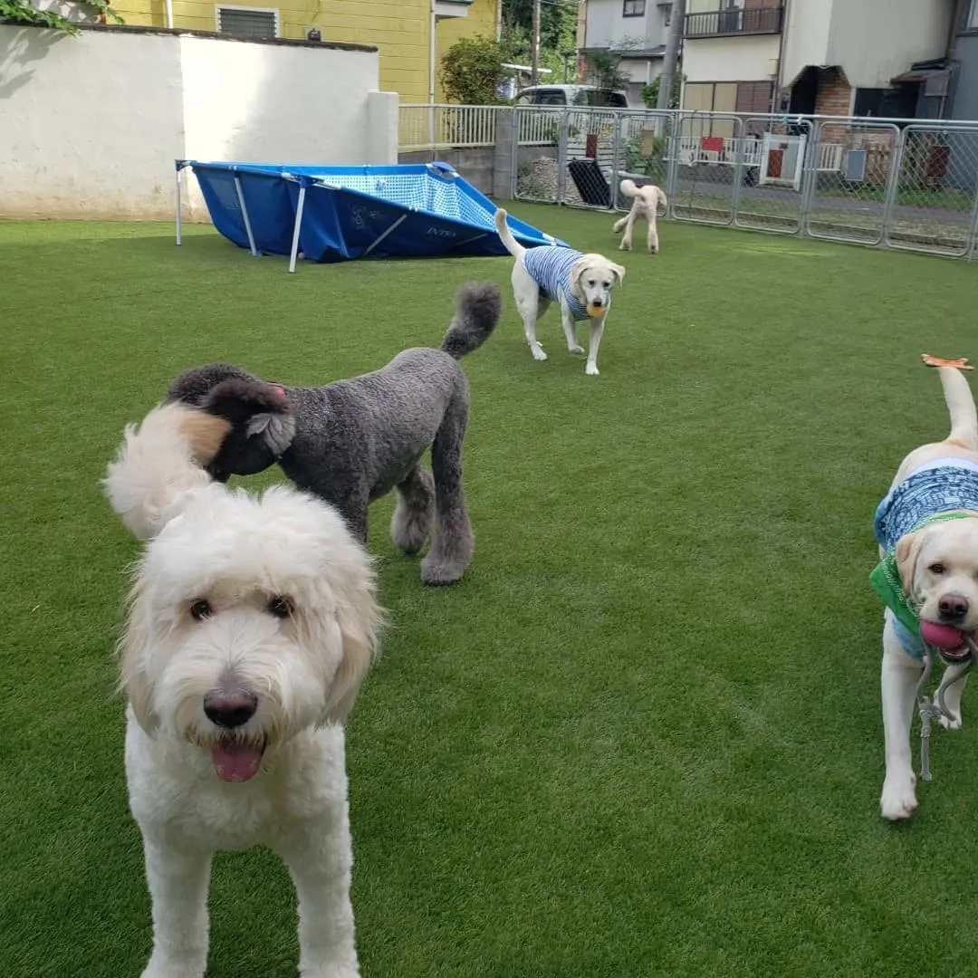 お部屋遊びだけでは物足りないわんぱく男子♥️