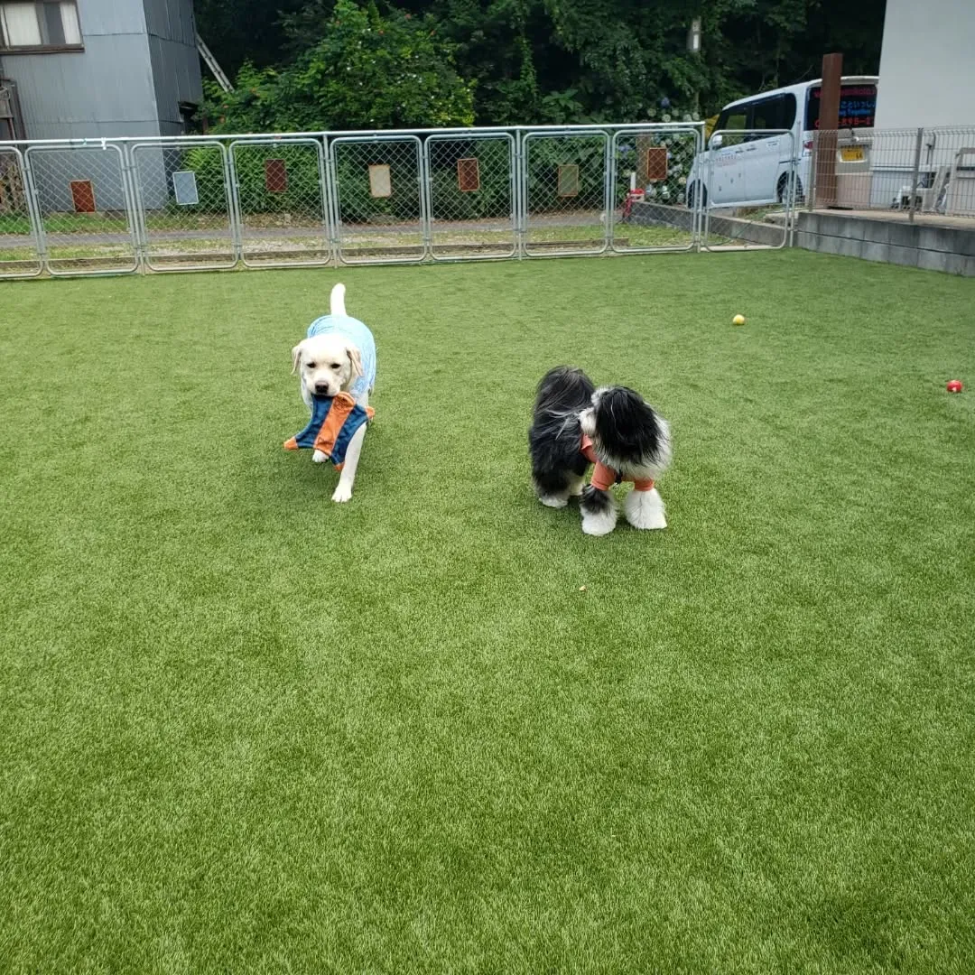 朝はお部屋でおもちゃ遊び🎵