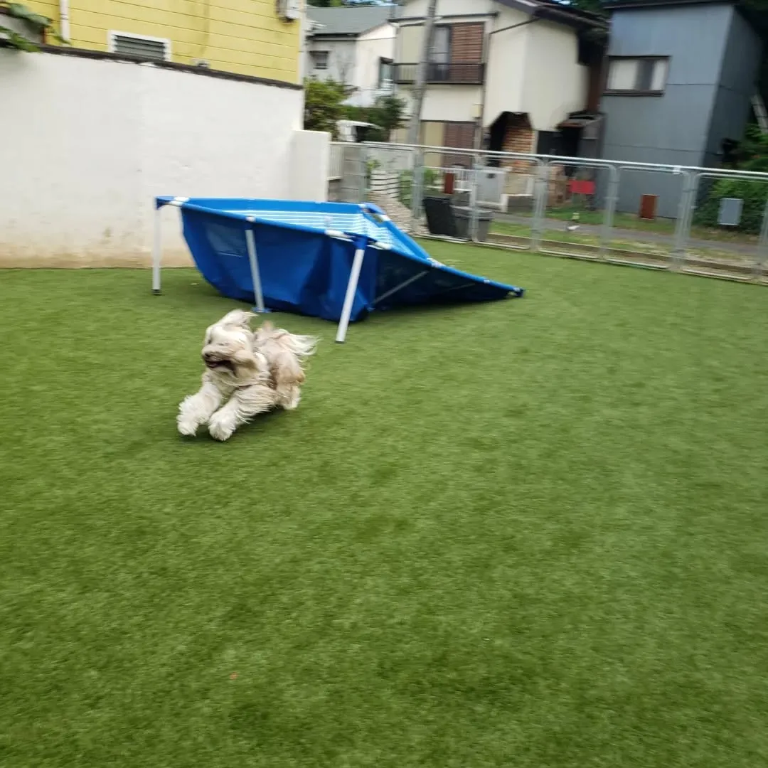 朝はお部屋でおもちゃ遊び🎵