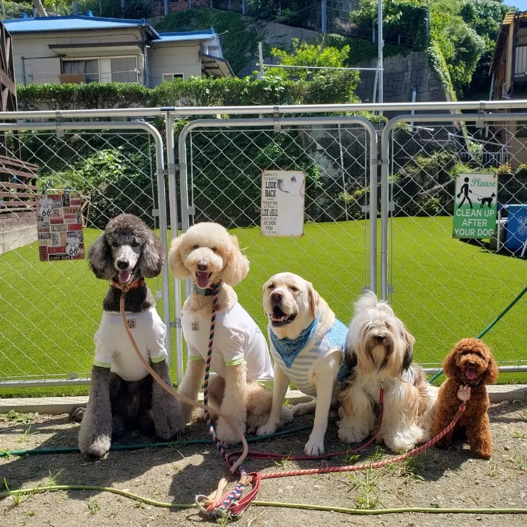 朝から暑いです😅