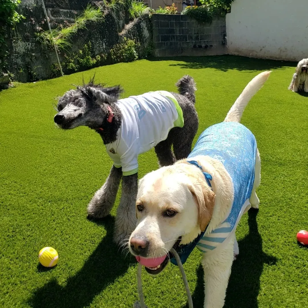 朝から暑いです😅