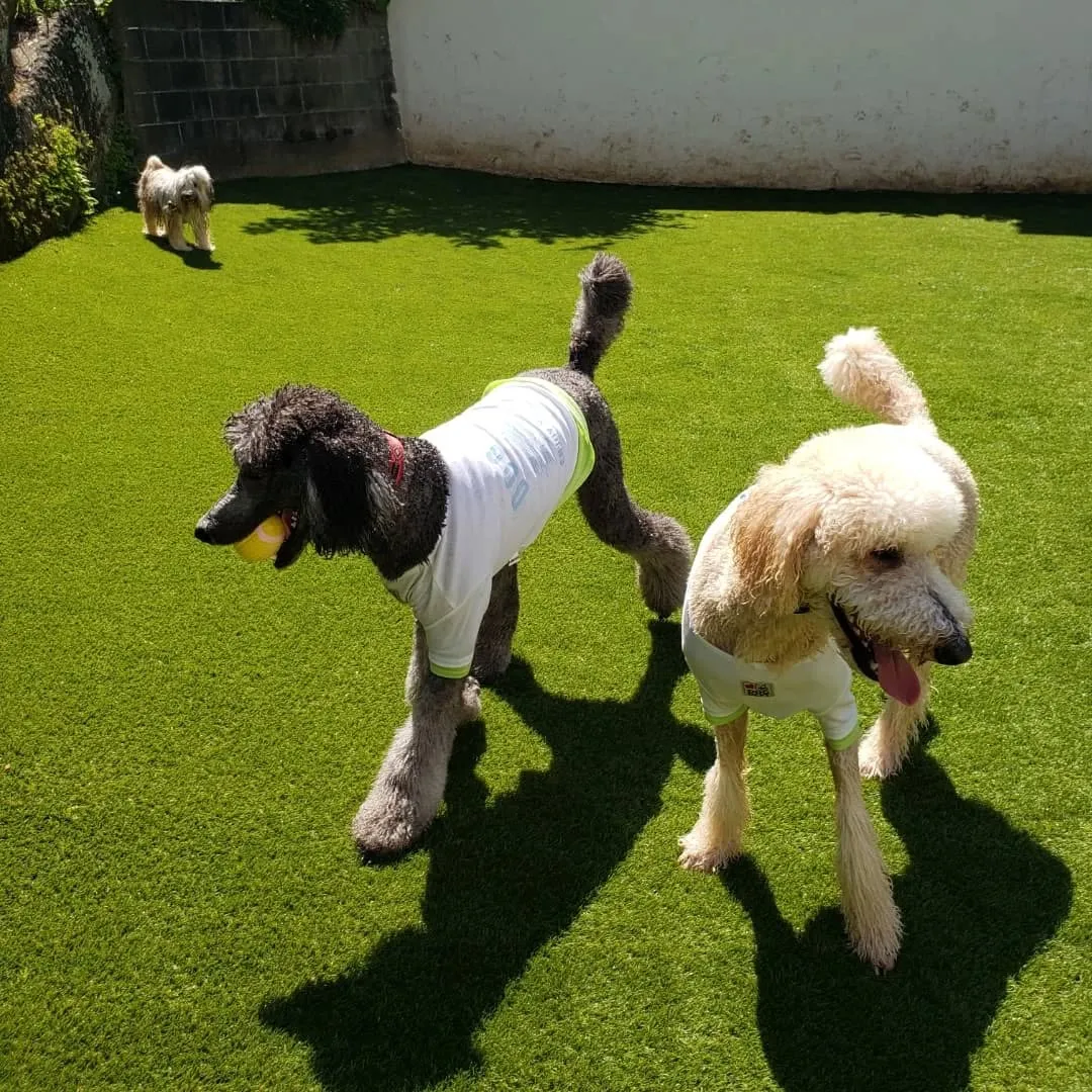 朝から暑いです😅