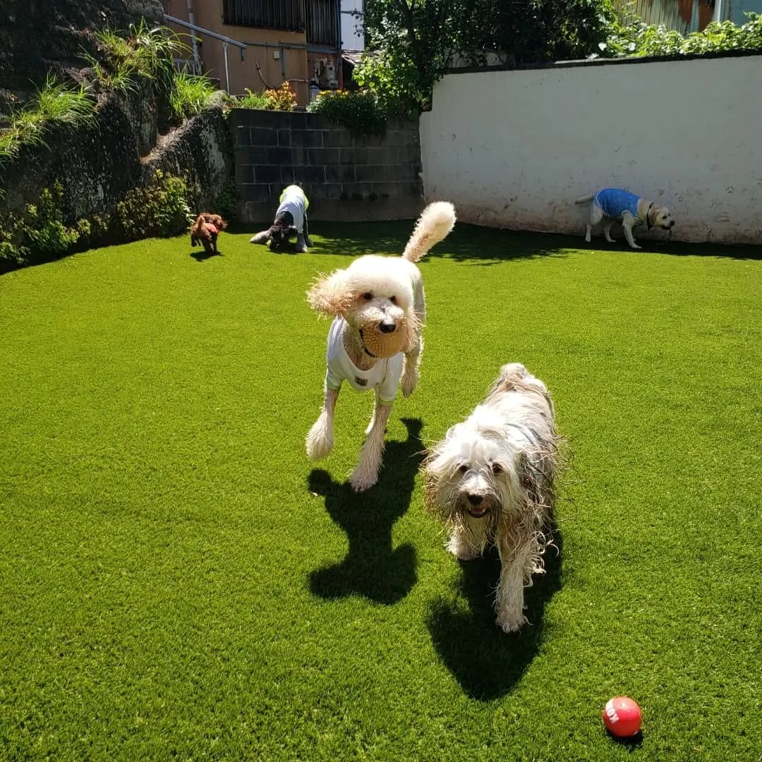 朝から暑いです😅