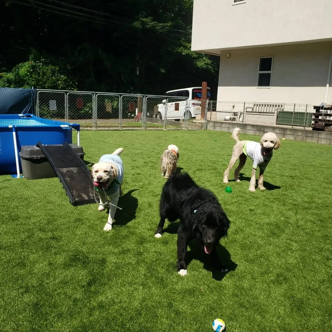 朝はみんなでランで遊びました😊