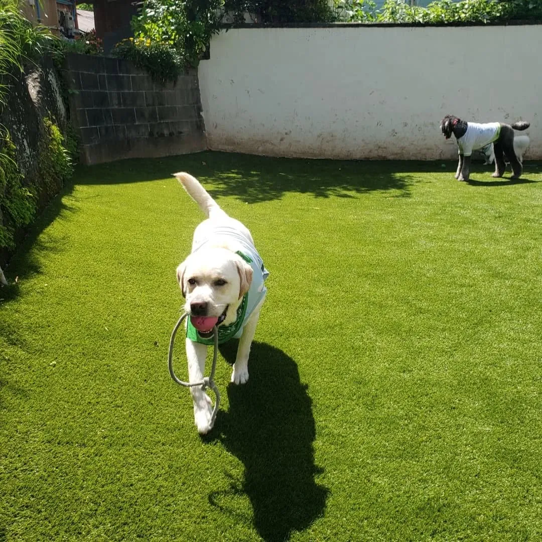 朝はみんなでランで遊びました😊