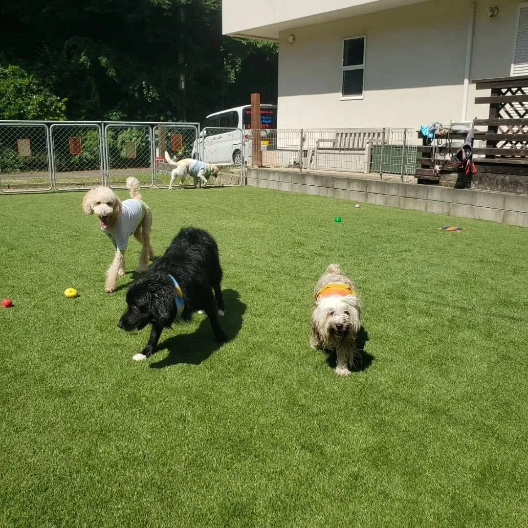 朝はみんなでランで遊びました😊