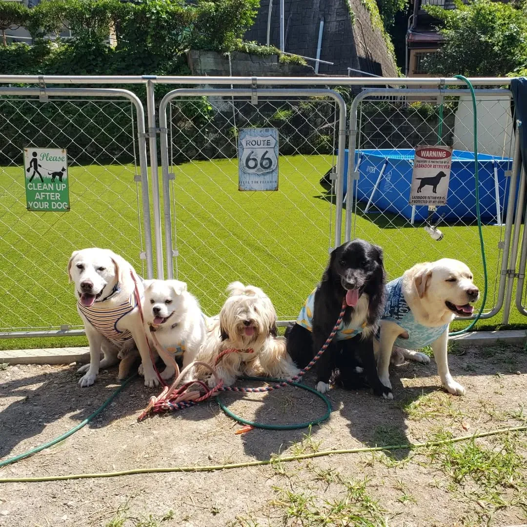 毎日暑い日が続いていますがみんな元気に遊んでいます😊