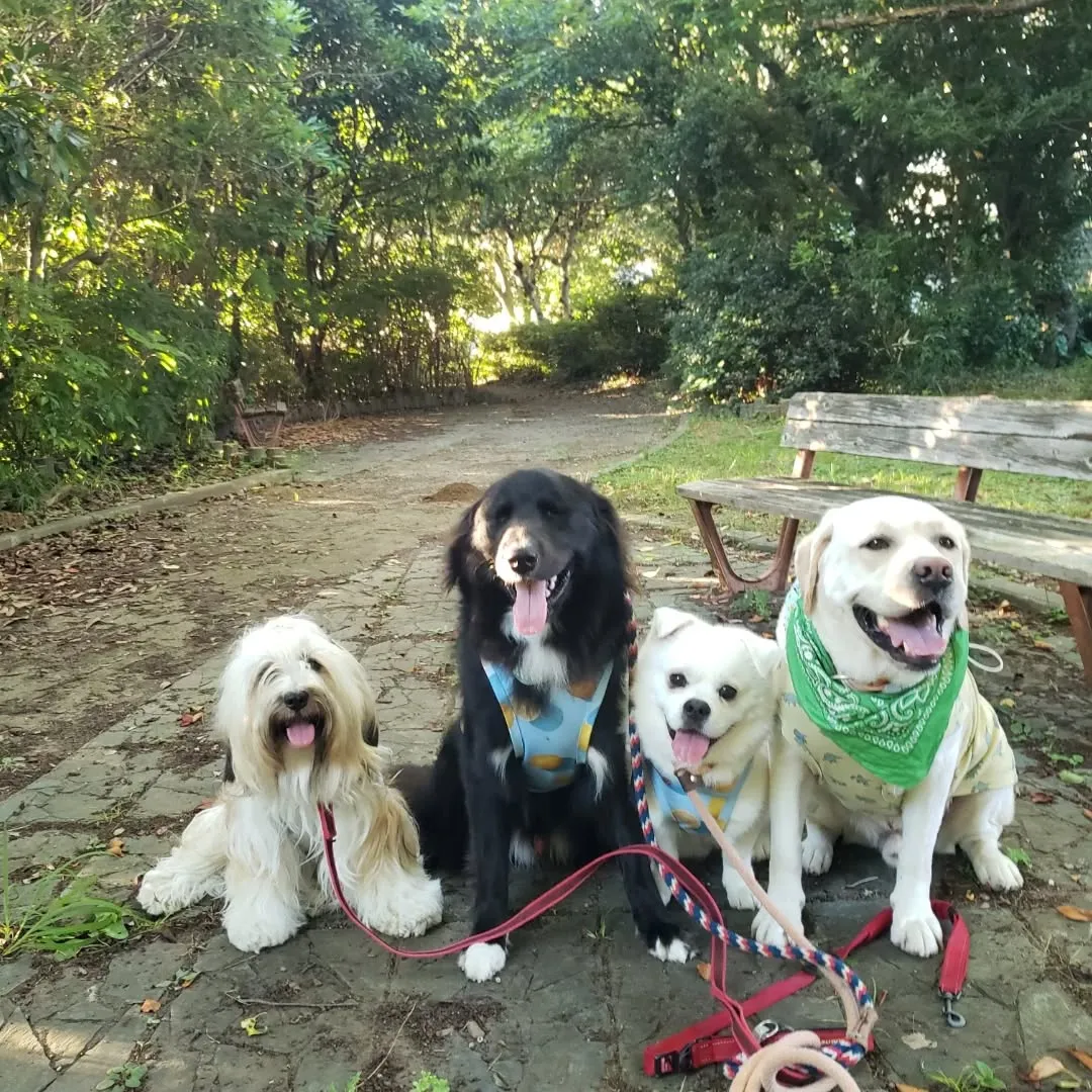 ホームステイしているベル君とグリ君♥️