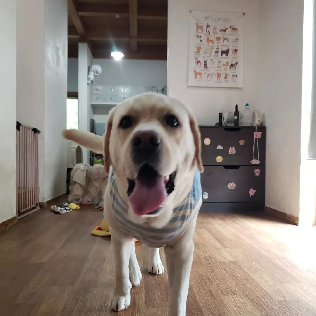 ホームステイに来てくれたみるくちゃん♥️