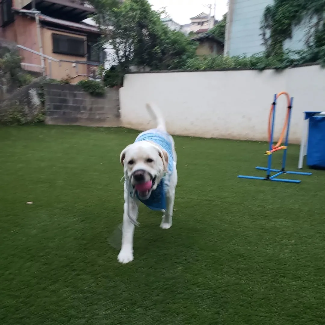 夕方になっても暑い☀️😵💦