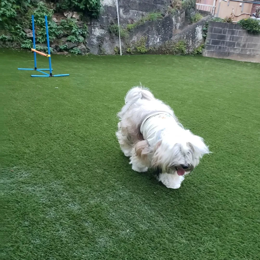 夕方になっても暑い☀️😵💦