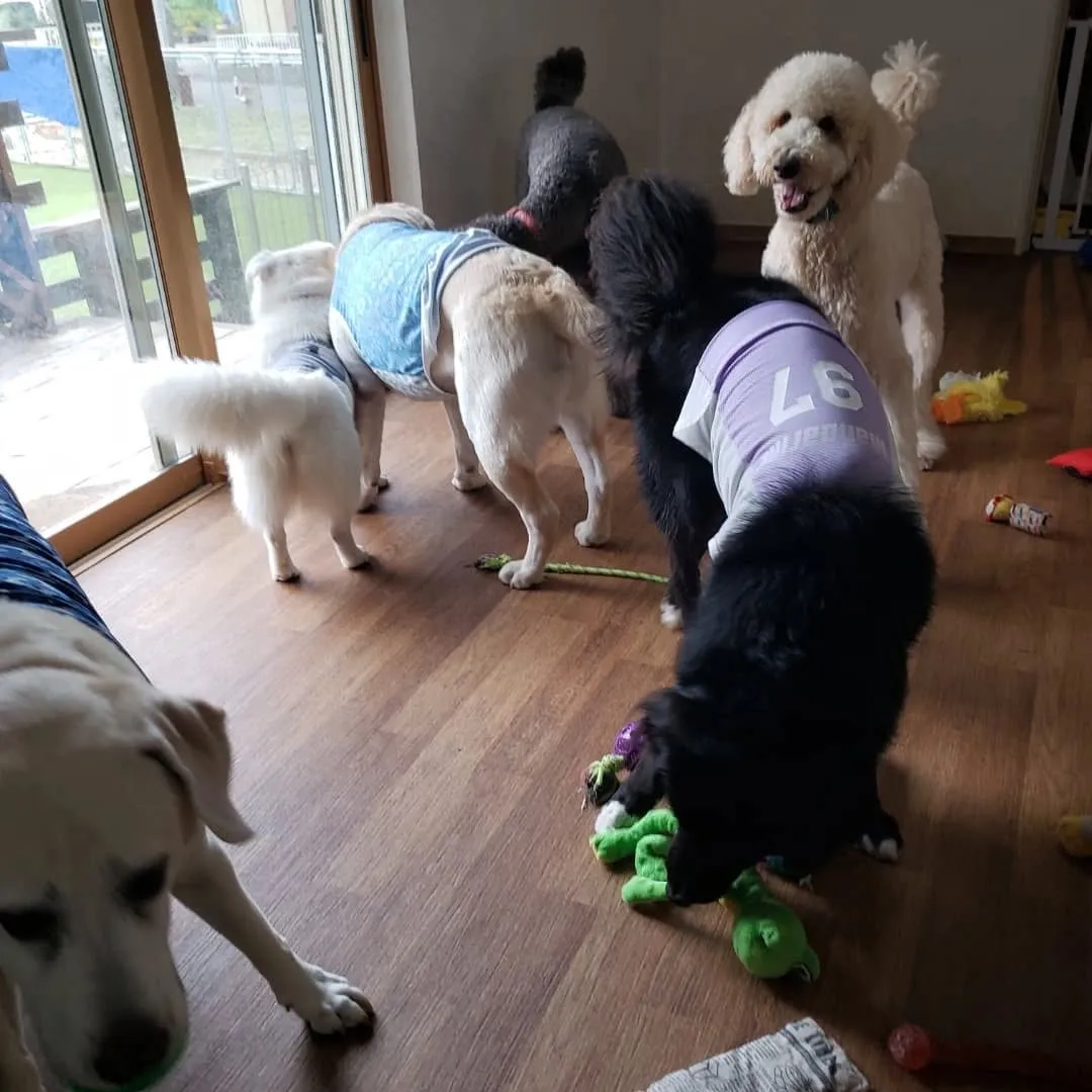 お部屋でおもちゃ遊び🎵