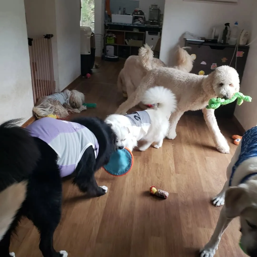 お部屋でおもちゃ遊び🎵