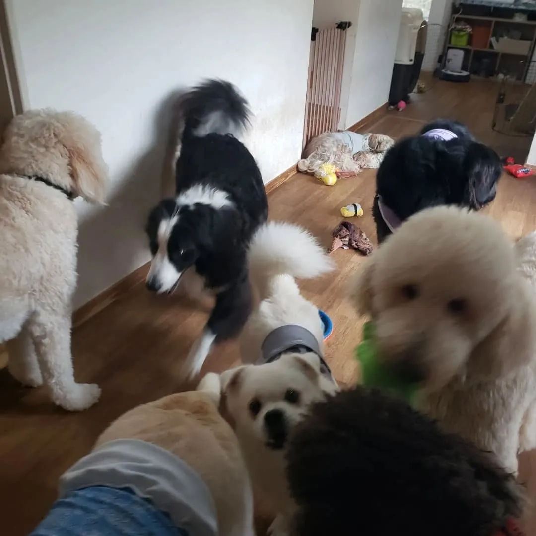 お部屋でおもちゃ遊び🎵