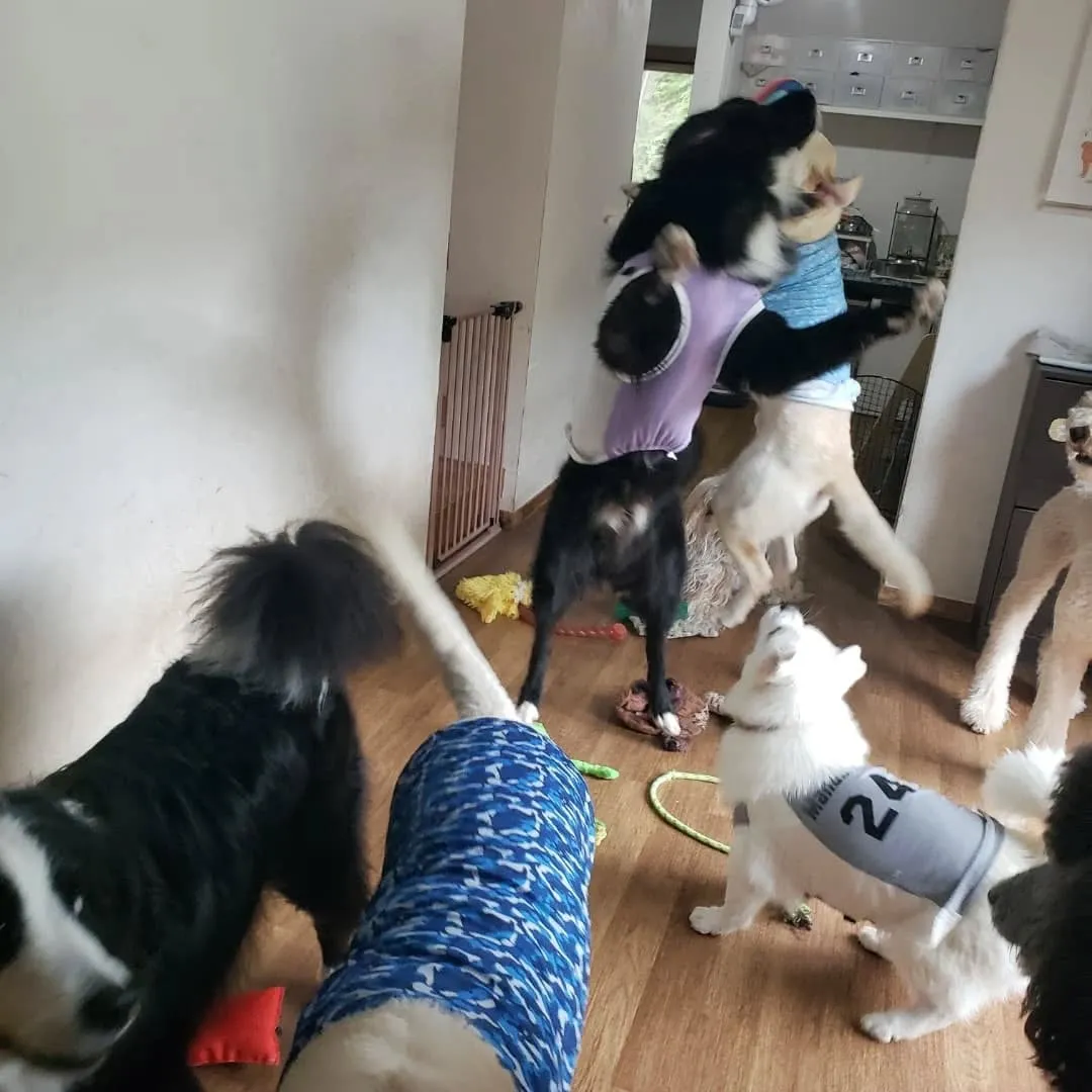 お部屋でおもちゃ遊び🎵