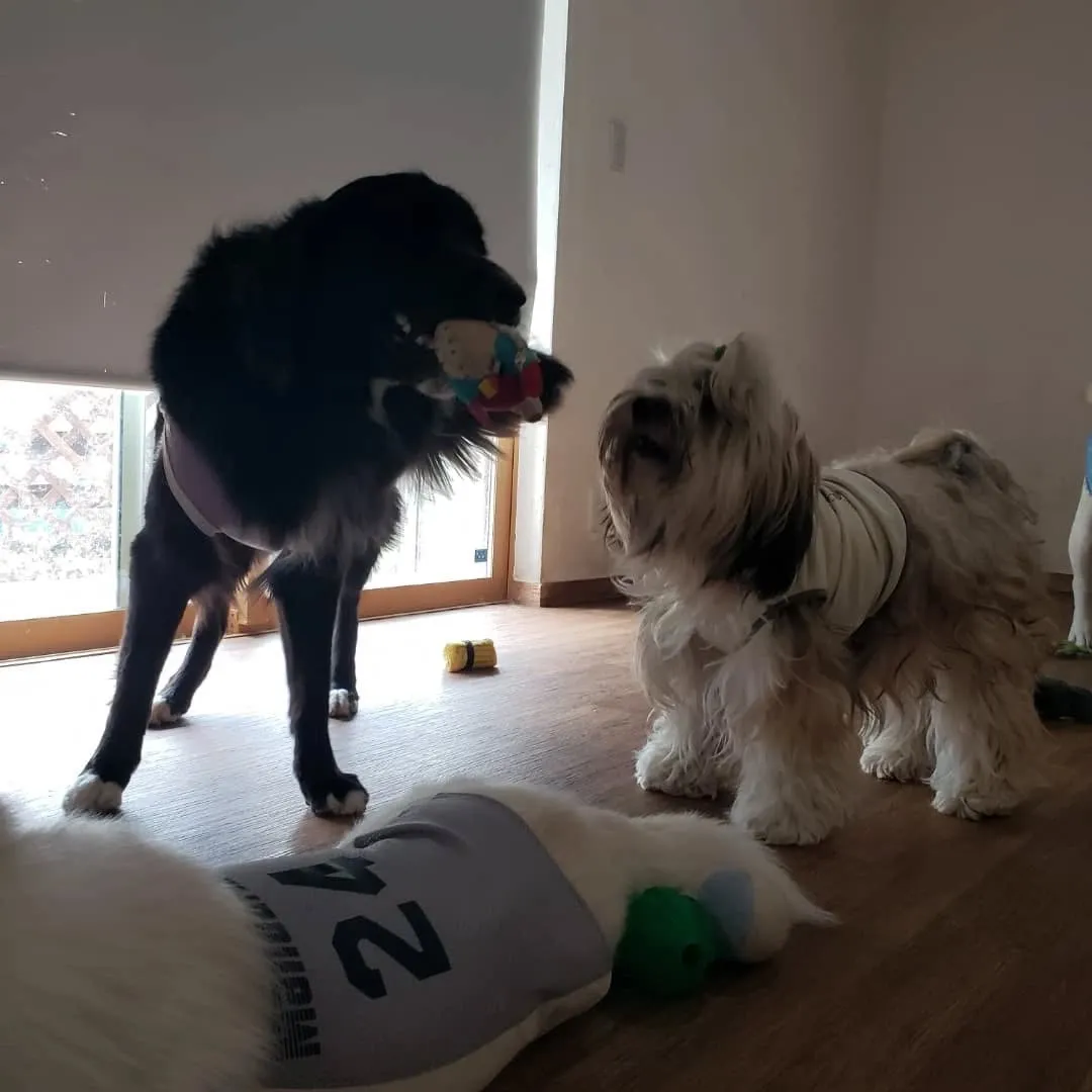 連日プールに入っているので今日は休水日🎵