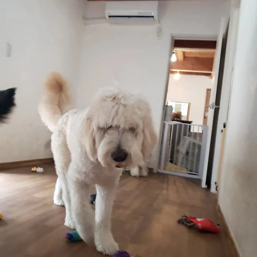 連日プールに入っているので今日は休水日🎵