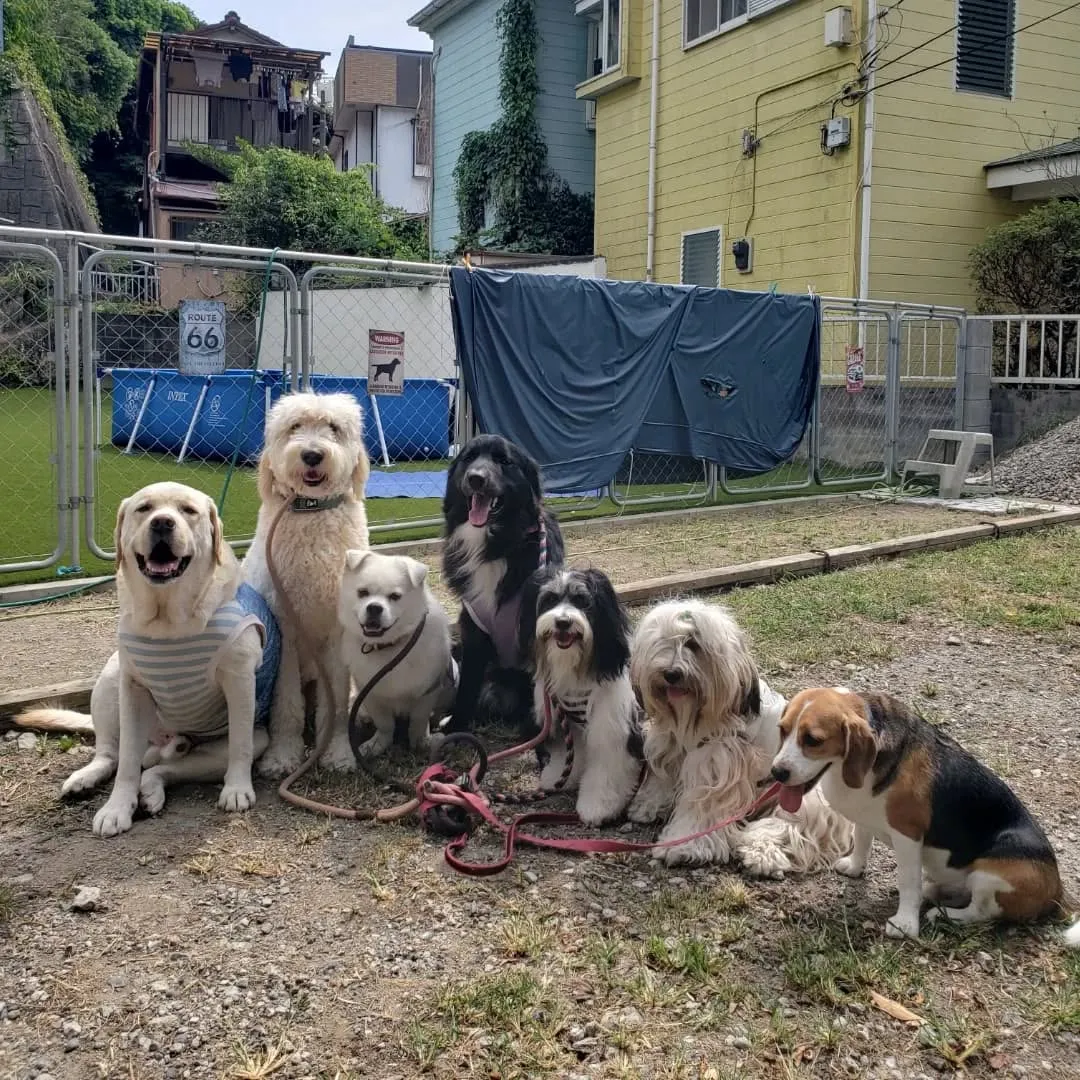 朝はプールとランでお水遊び🎵