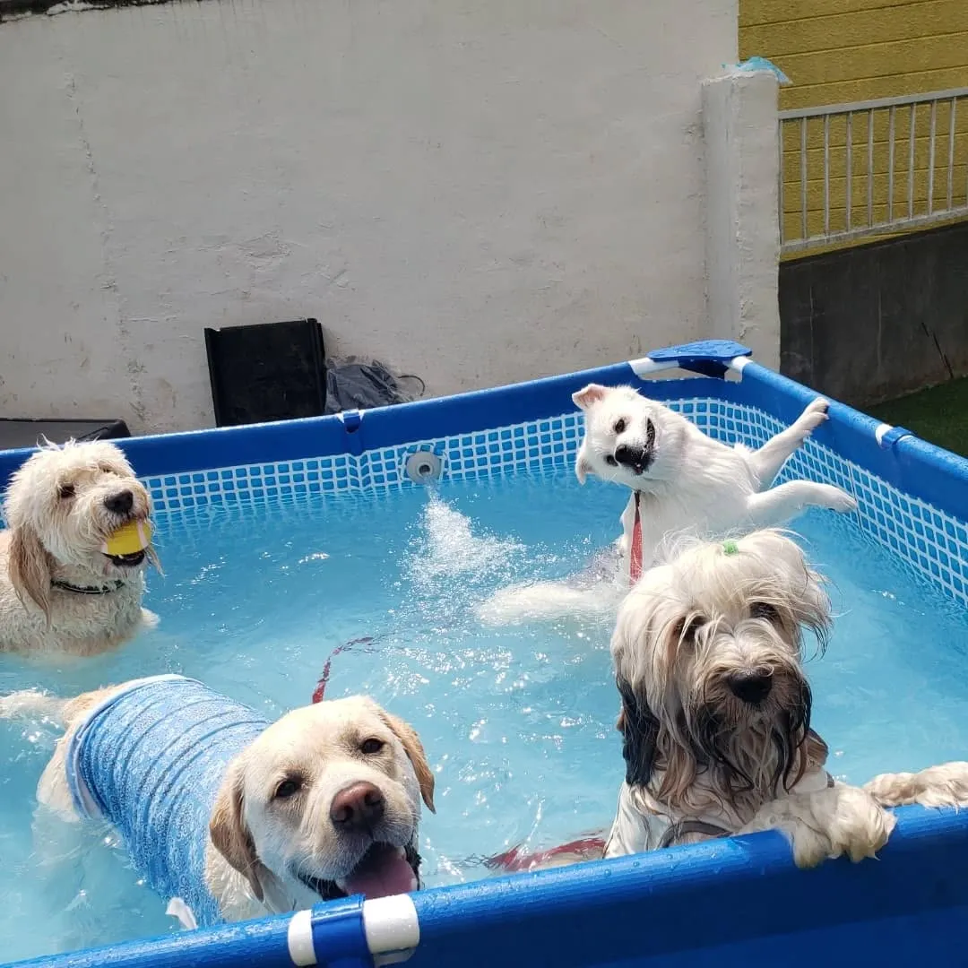 朝はプールとランでお水遊び🎵
