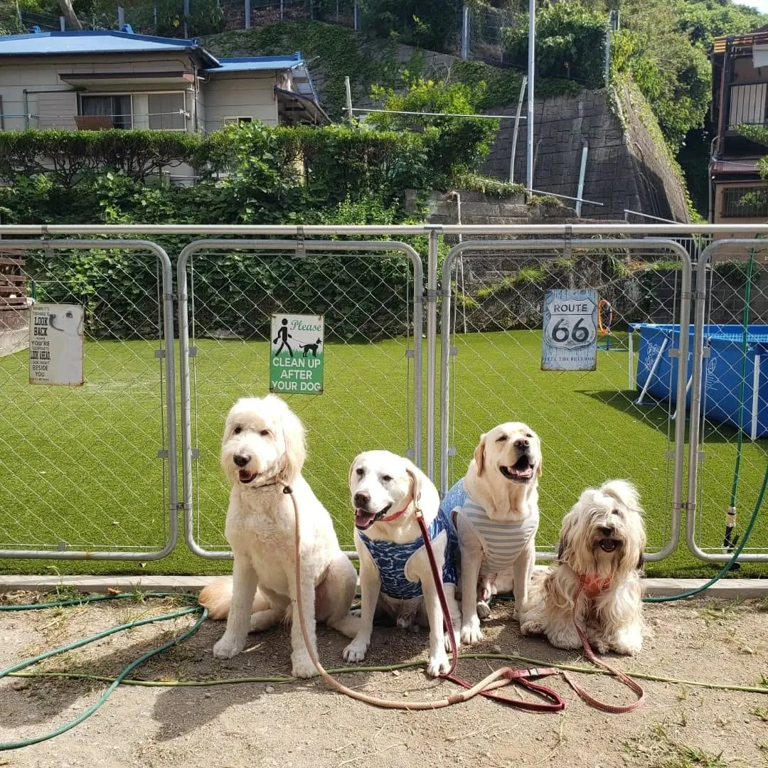 9月に入っても暑いのでプール入ってます😊