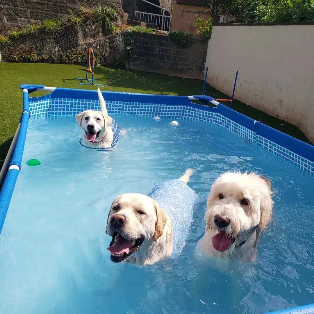 9月に入っても暑いのでプール入ってます😊